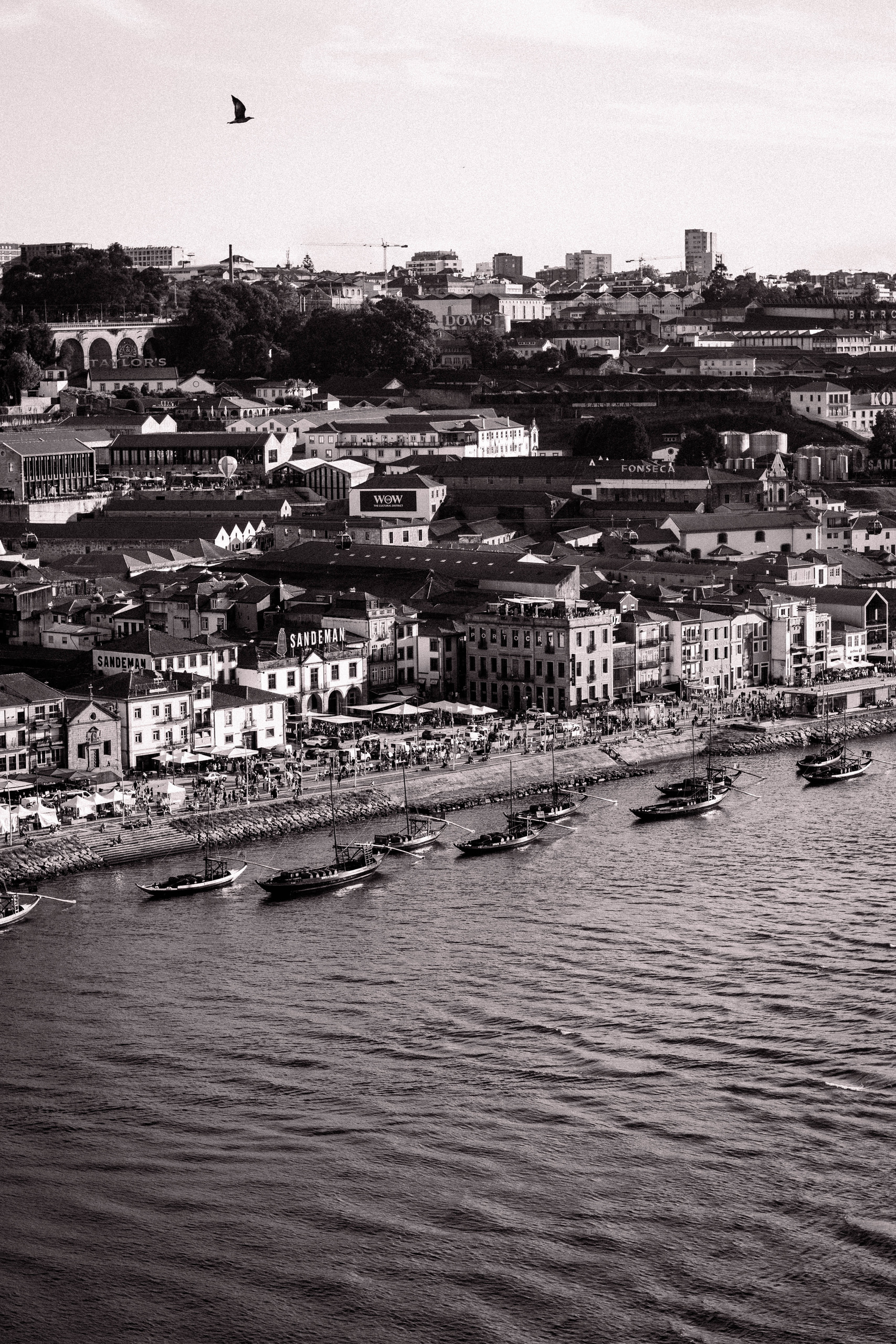Porto — Otros, Fotografía Documental (2024). Plate 3 de 9 · fotografía por Quim Miquel